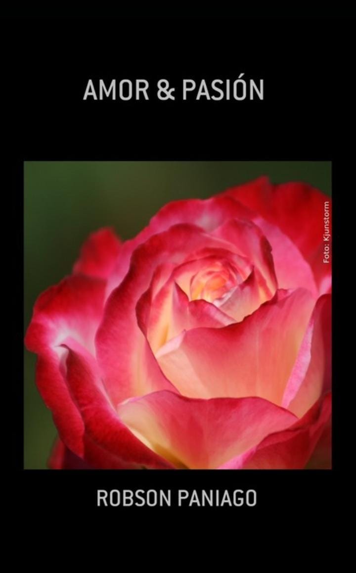 Libro o e-book.  AMOR Y PASIÓN
