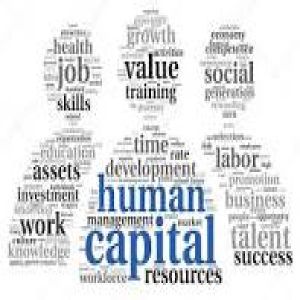 e-book  HUMAN CAPITAL